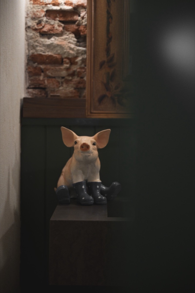 Venancio, mascota de Quincé